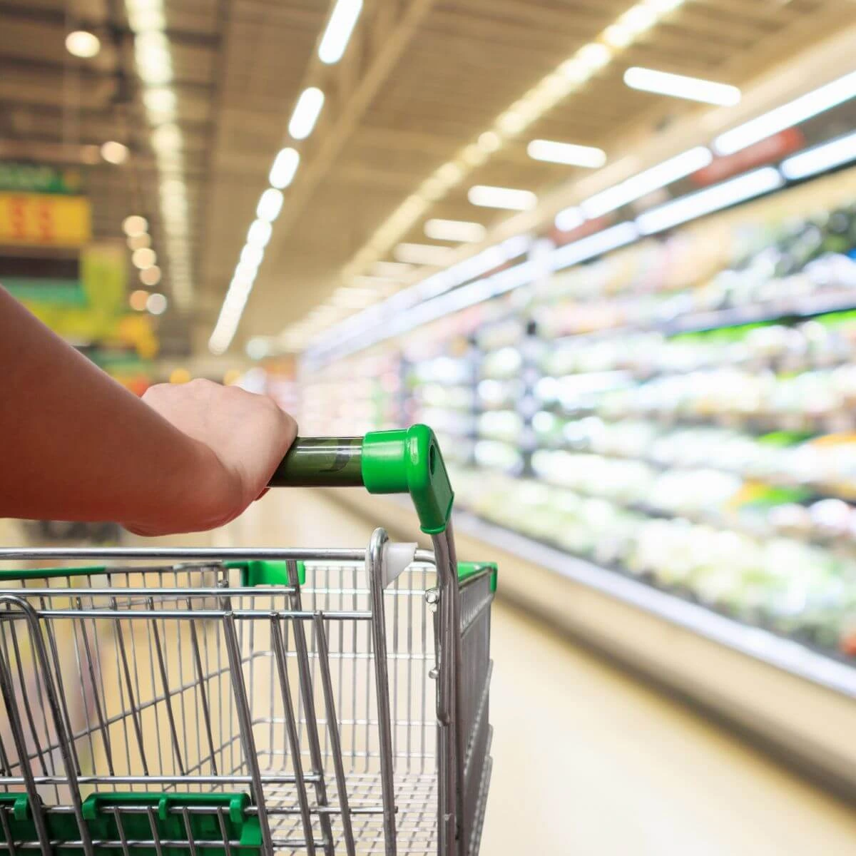 supermarche-refrigere